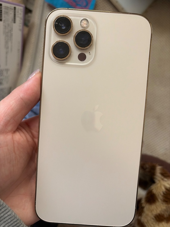 iPhone 12 Pro Max 256GB docomo（スマホ）の商品画像 - 査定依頼日：2026年5月11日 - 最高査定価格：100,000円