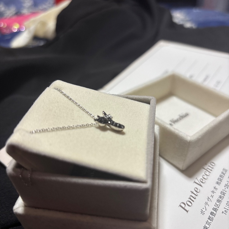 ポンテヴェキオ（金・貴金属）の商品画像 - 査定依頼日：2025年12月9日 - 最高査定価格：50,000円