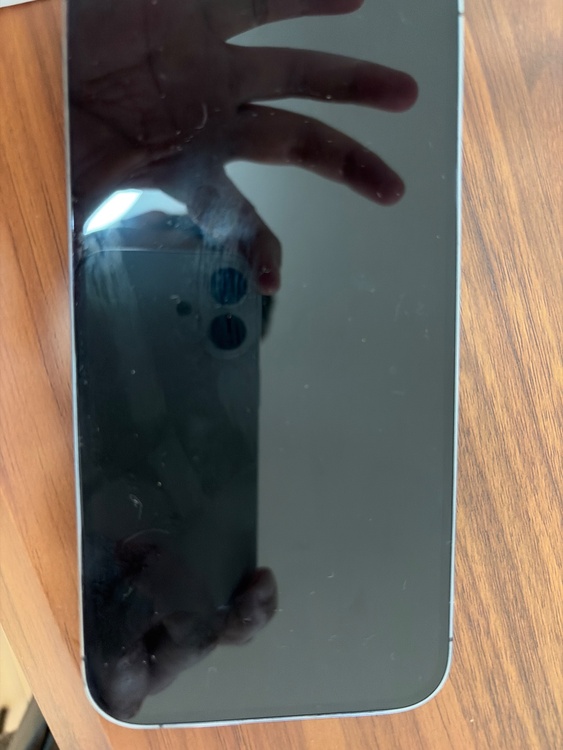 iPhone iPhone 14 Pro Max 256GB 楽天モバイル（スマホ）の商品画像 - 査定依頼日：2026年7月22日 - 最高査定価格：76,000円