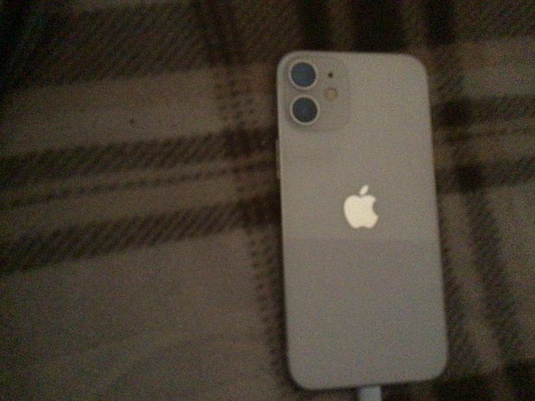 iPhone iPhone 12 mini 64GB au（スマホ）の商品画像 - 査定依頼日：2026年7月29日 - 最高査定価格：19,000円