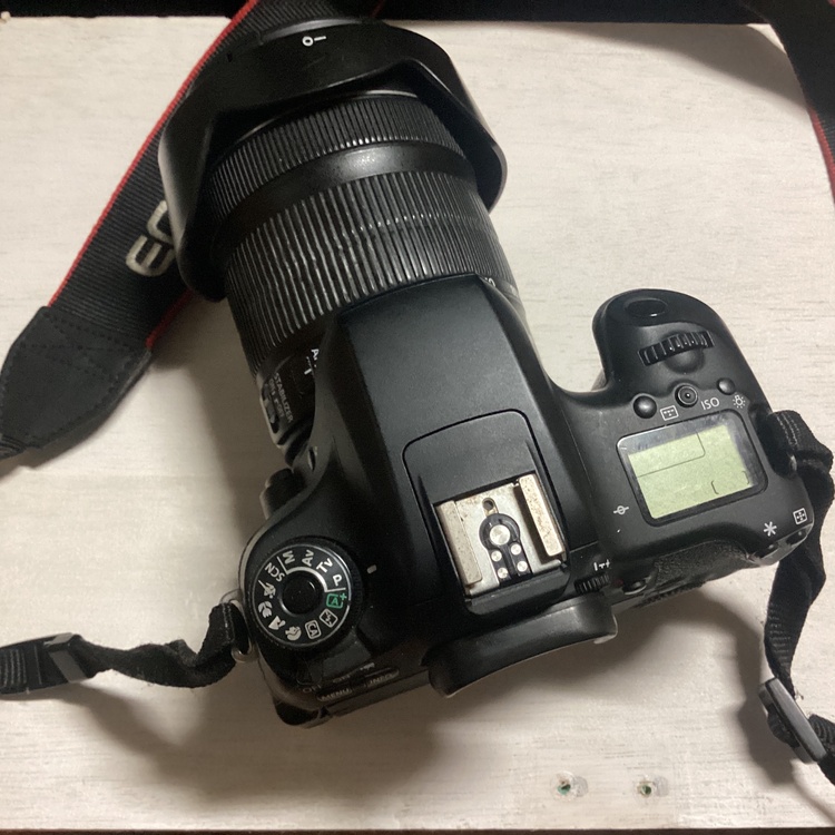 Canon EOS 8000D（カメラ）の商品画像 - 査定依頼日：2026年7月1日 - 最高査定価格：25,100円