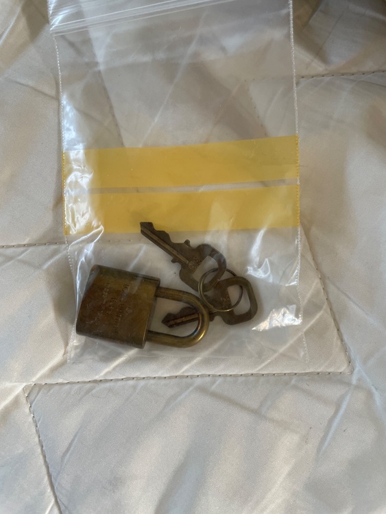 ルイヴィトン スピーディー （ブランドバッグ）の商品画像 - 査定依頼日：2025年10月7日 - 最高査定価格：100,000円