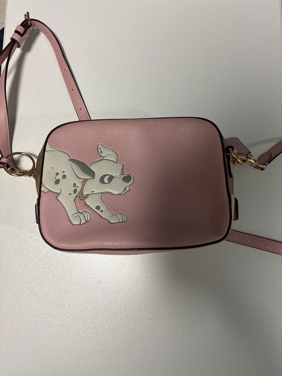 コーチ　101匹のワンチャンコラボ（ブランドバッグ）の商品画像 - 査定依頼日：2025年9月23日 - 最高査定価格：4,500円