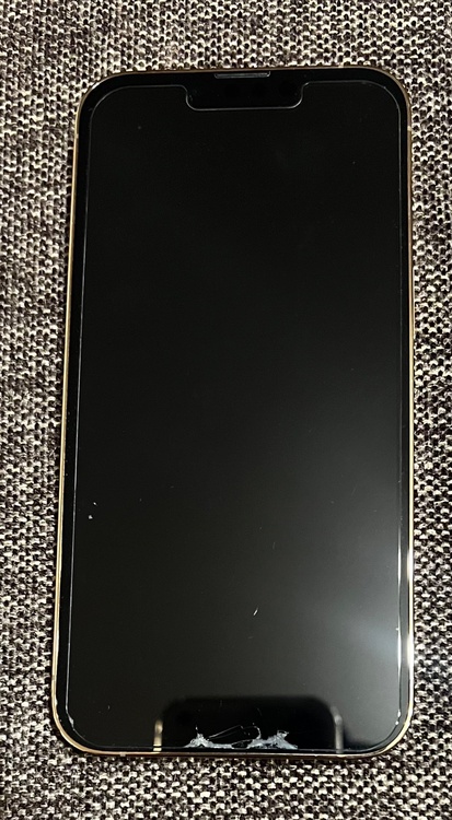 iPhone iPhone 13 Pro 256GB SIMフリー（スマホ）の商品画像 - 査定依頼日：2026年9月26日 - 最高査定価格：48,500円