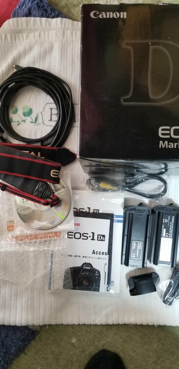 Canon EOS 1D MarkII キヤノン（カメラ）の商品画像 - 査定依頼日：2026年4月15日 - 最高査定価格：15,100円