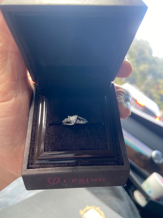 ハートブリリアント（宝石）の商品画像 - 査定依頼日：2025年11月3日 - 最高査定価格：45,000円