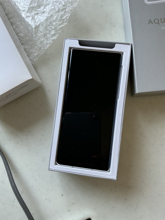 AQUOS R6 【docomo】AQUOS R6 SH-51B （スマホ）の商品画像 - 査定依頼日：2026年5月18日 - 最高査定価格：100,000円