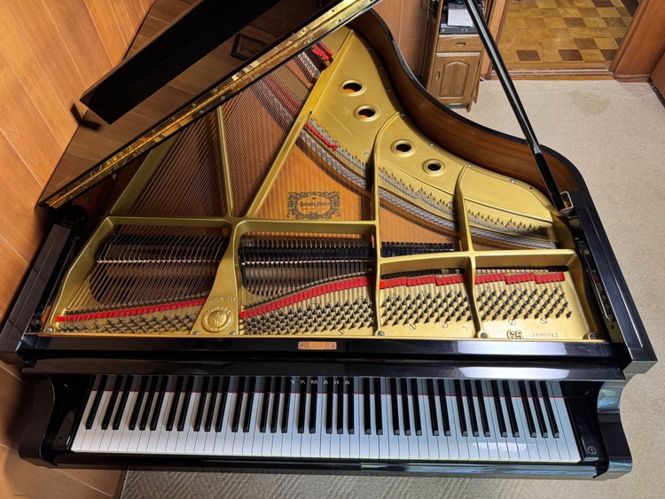 C5  3890942  （ピアノ・楽器・PA機材）の商品画像 - 査定依頼日：2026年1月21日 - 最高査定価格：10,000円