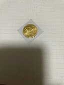 天皇在位60年金貨（金・貴金属）の商品画像 - 査定依頼日：2025年5月29日 - 最高査定価格：305,000円