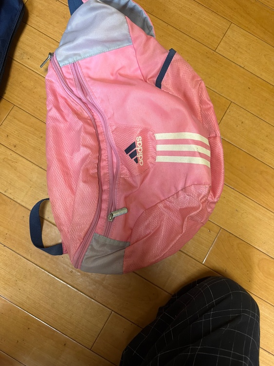 スポーツバック（セカンドバックタイプ）（古着・ファッション）の商品画像 - 査定依頼日：2026年9月23日 - 最高査定価格：100,000円