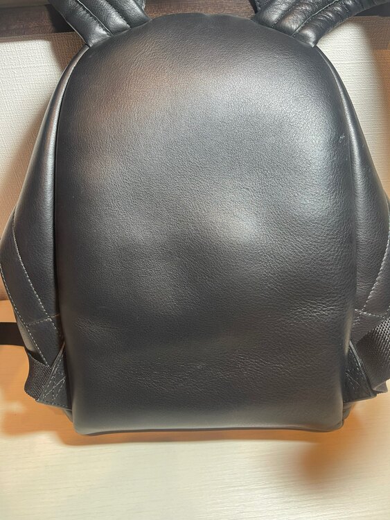 エブリデイ（ブランドバッグ）の商品画像 - 査定依頼日：2025年1月4日 - 最高査定価格：50,000円