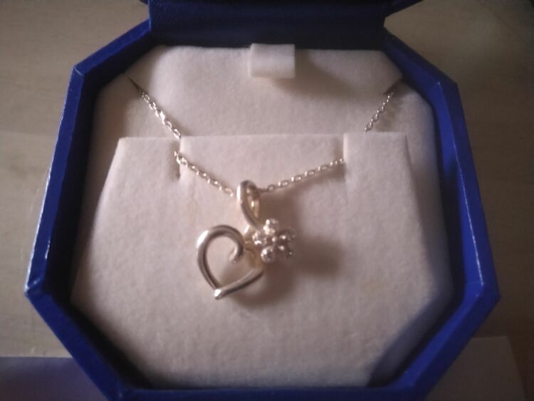 SVN863540C2（金・貴金属）の商品画像 - 査定依頼日：2025年9月24日 - 最高査定価格：1,000円