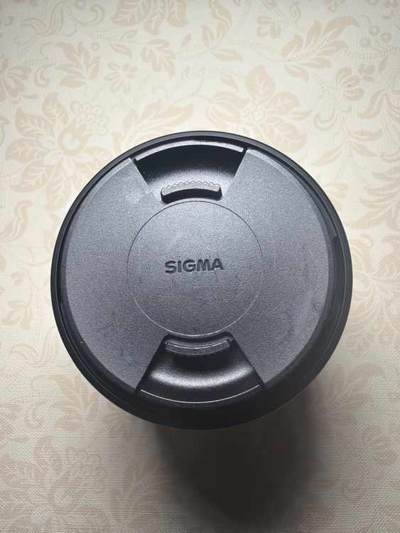 SIGMA 16mm F1.4 DC DN（カメラ）の商品画像 - 査定依頼日：2026年2月12日 - 最高査定価格：25,000円