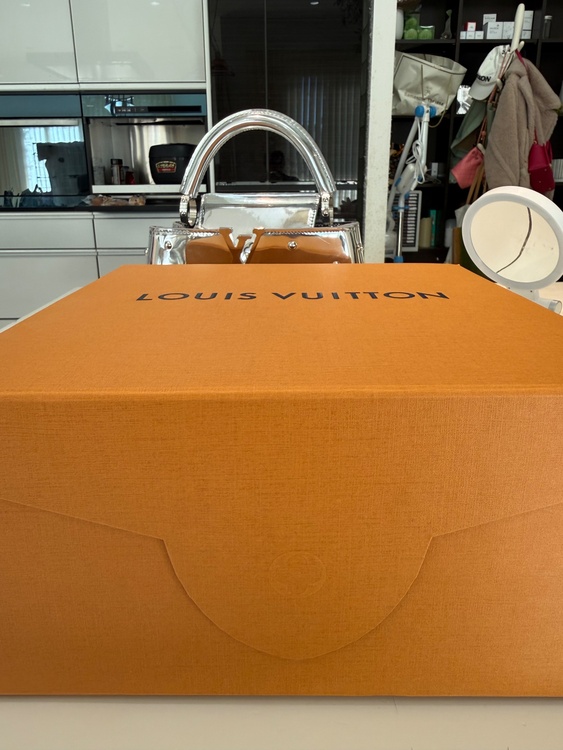 カプシーヌ（ブランドバッグ）の商品画像 - 査定依頼日：2026年1月12日 - 最高査定価格：450,000円