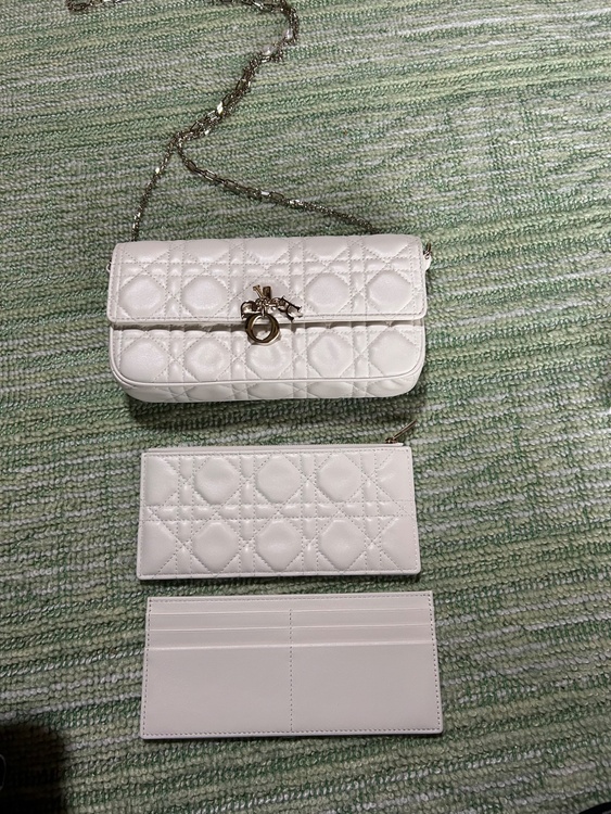 レディーディオールポーチ（ブランドバッグ）の商品画像 - 査定依頼日：2026年4月20日 - 最高査定価格：180,000円