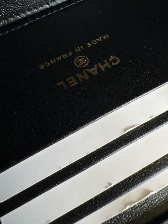 ヴァニティバッグ2023年クルーズコレクション（ブランドバッグ）の商品画像 - 査定依頼日：2025年4月23日 - 最高査定価格：400,000円