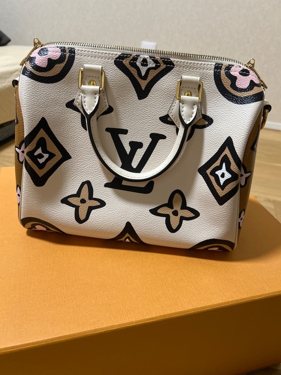 ルイヴィトン スピーディー （ブランドバッグ）の商品画像 - 査定依頼日：2025年12月24日 - 最高査定価格：250,000円