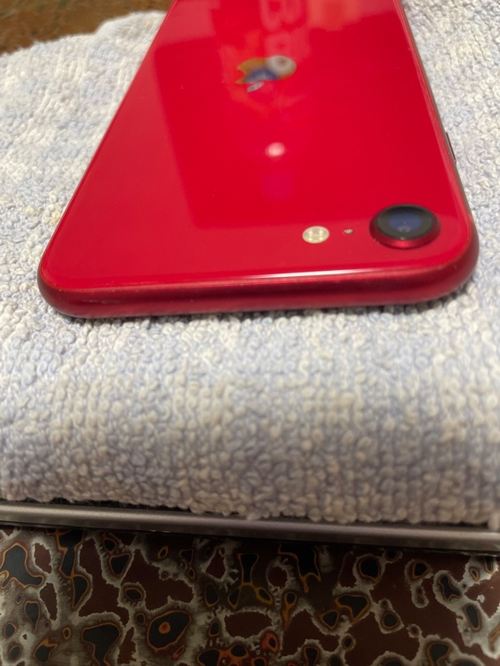 iPhone SE (第 2 世代) 64GB SIMフリー（スマホ）の商品画像 - 査定依頼日：2026年4月1日 - 最高査定価格：13,000円