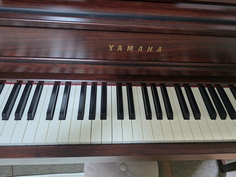 CLP-535（ピアノ・楽器・PA機材）の商品画像 - 査定依頼日：2026年3月21日 - 最高査定価格：11,000円