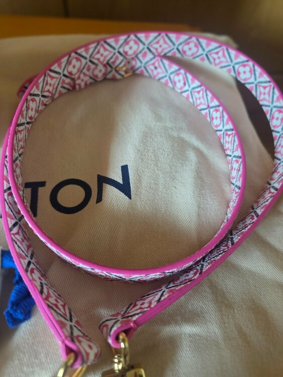 ルイヴィトン スピーディー （ブランドバッグ）の商品画像 - 査定依頼日：2026年3月25日 - 最高査定価格：250,000円