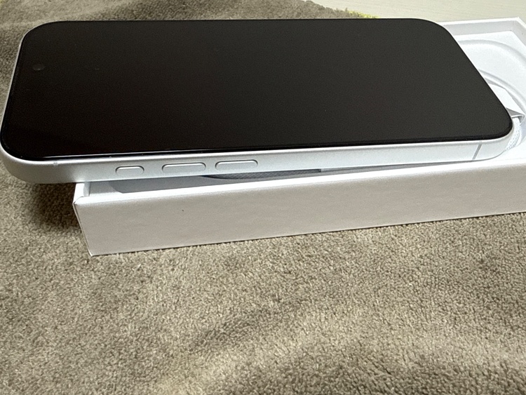 iPhone iPhone 17 256GB SIMフリー（スマホ）の商品画像 - 査定依頼日：2026年10月10日 - 最高査定価格：111,500円