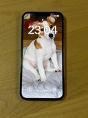 iPhone13PRO128G（スマホ）の商品画像 - 査定依頼日：2026年6月1日 - 最高査定価格：45,000円