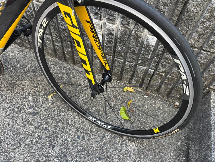 GIANT Propel SLR2 （自転車）の商品画像 - 査定依頼日：2025年4月3日 - 最高査定価格：30,000円