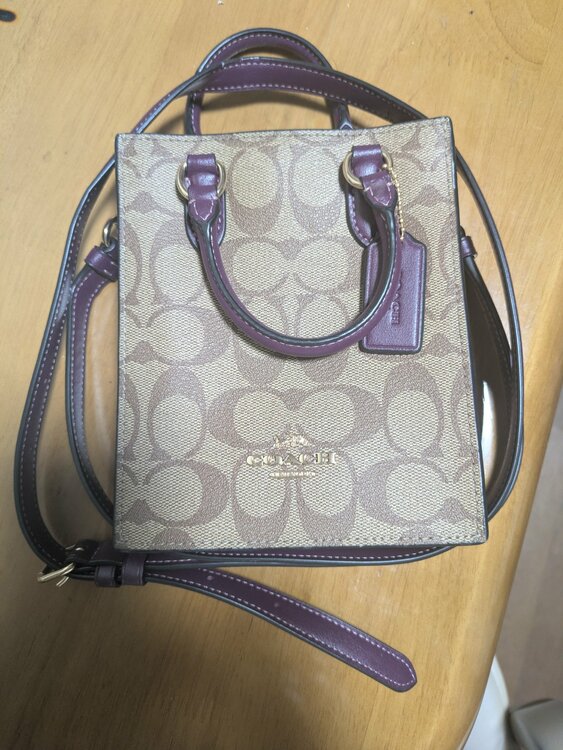 その他 コーチ （ブランドバッグ）の商品画像 - 査定依頼日：2025年12月24日 - 最高査定価格：3,000円