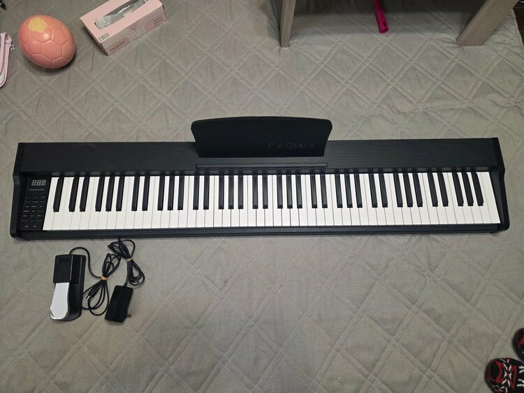 carina-LF130（ピアノ・楽器・PA機材）の商品画像 - 査定依頼日：2026年3月1日 - 最高査定価格：3,000円