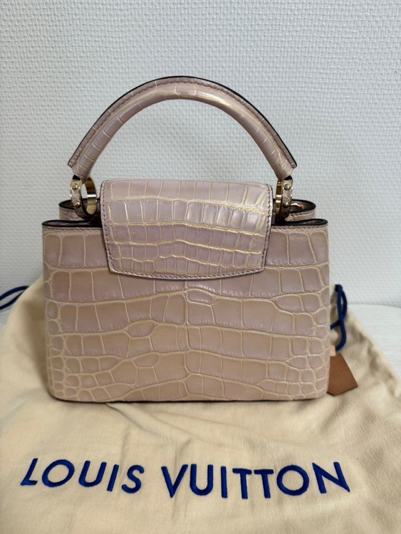 カプシーヌ（ブランドバッグ）の商品画像 - 査定依頼日：2025年6月21日 - 最高査定価格：1,150,000円