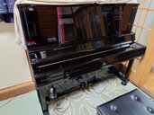 YUS5SH2（ピアノ・楽器・PA機材）の商品画像 - 査定依頼日：2026年1月11日 - 最高査定価格：300,000円