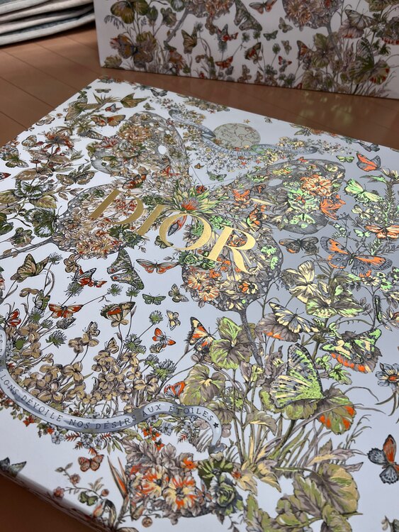 ディオール  （ブランドバッグ）の商品画像 - 査定依頼日：2025年3月13日 - 最高査定価格：230,000円