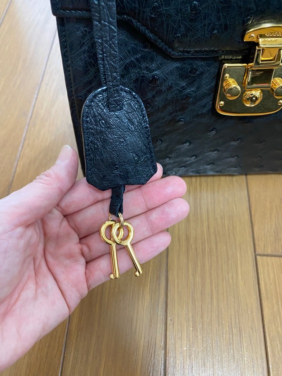 オーストリッチ　ハンドバッグ（ブランドバッグ）の商品画像 - 査定依頼日：2025年9月4日 - 最高査定価格：70,000円