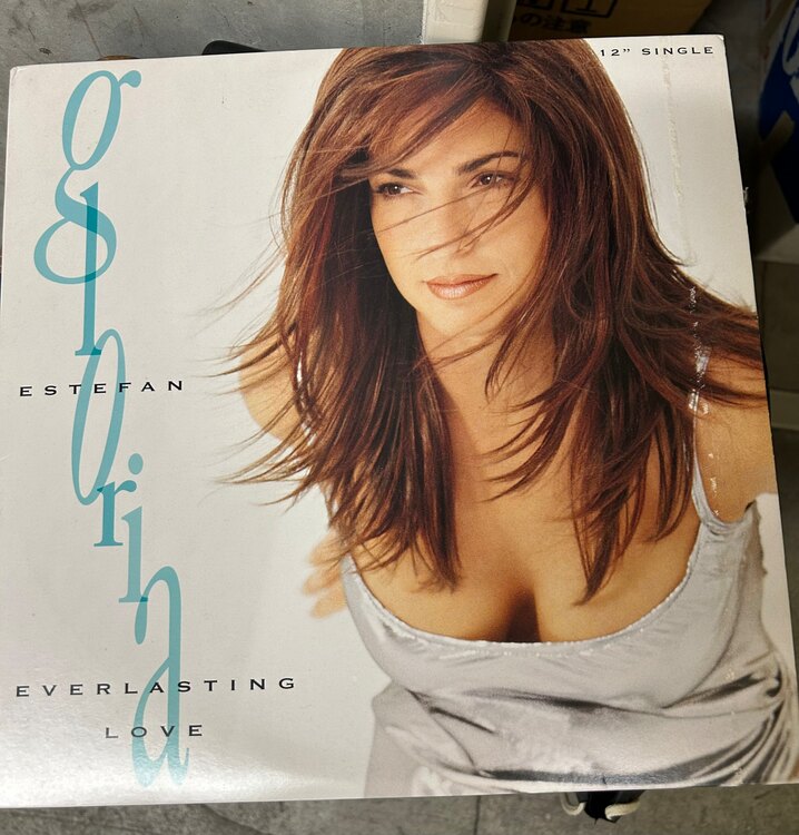 30年前に買い集めたレコード30枚以（レコード）の商品画像 - 査定依頼日：2025年1月13日 - 最高査定価格：4,000円