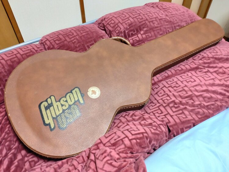 ES-335 Dot（ピアノ・楽器・PA機材）の商品画像 - 査定依頼日：2026年2月23日 - 最高査定価格：230,000円