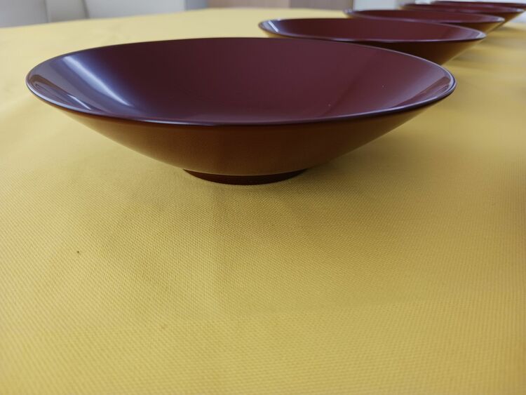 【越前漆器】輪花取り皿６寸　天然木 10枚組　（食器）の商品画像 - 査定依頼日：2025年8月21日 - 最高査定価格：2,000円