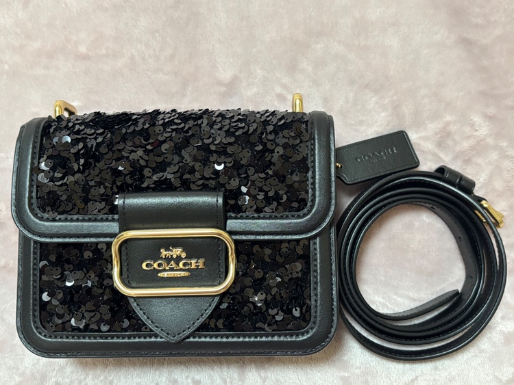 その他 コーチ （ブランドバッグ）の商品画像 - 査定依頼日：2025年6月5日 - 最高査定価格：5,000円