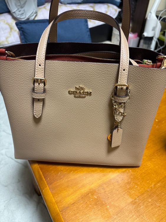 その他 コーチ （ブランドバッグ）の商品画像 - 査定依頼日：2025年8月30日 - 最高査定価格：6,000円