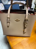 その他 コーチ （ブランドバッグ）の商品画像 - 査定依頼日：2025年8月30日 - 最高査定価格：6,000円