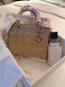 レディディオール（ブランドバッグ）の商品画像 - 査定依頼日：2026年2月8日 - 最高査定価格：450,000円