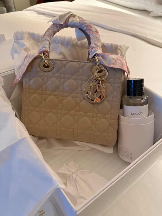 レディディオール（ブランドバッグ）の商品画像 - 査定依頼日：2026年2月8日 - 最高査定価格：450,000円