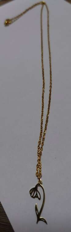 ノーブランドのモアサナイトのブレスレット、14Kゴールドメッキネックレス（金・貴金属）の商品画像 - 査定依頼日：2025年3月9日 - 最高査定価格：5,800円