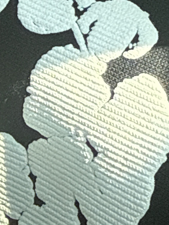 デニムティアーズ（古着・ファッション）の商品画像 - 査定依頼日：2026年2月4日 - 最高査定価格：100,000円