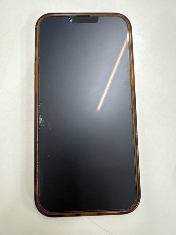 iPhone iPhone 13 Pro Max 256GB docomo（スマホ）の商品画像 - 査定依頼日：2026年9月24日 - 最高査定価格：64,000円