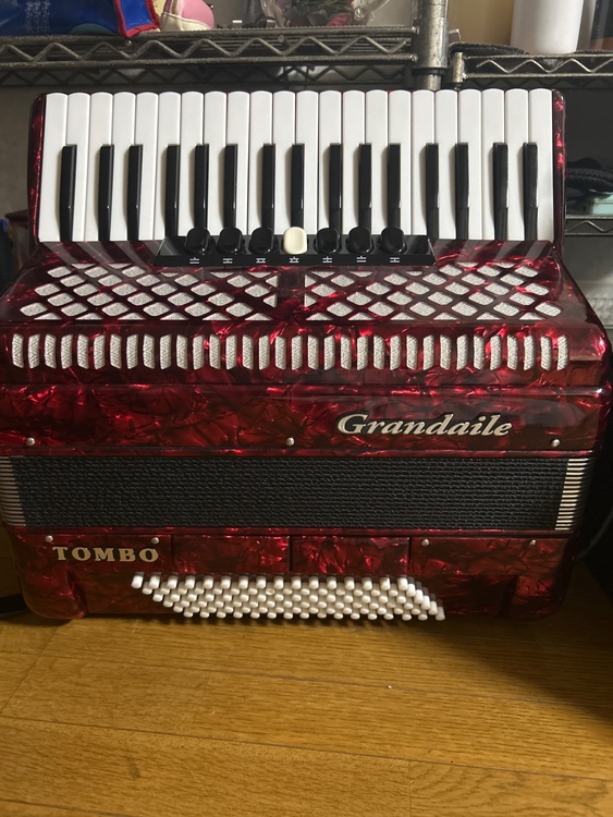 TOMBOグランデールGT96（ピアノ・楽器・PA機材）の商品画像 - 査定依頼日：2026年7月19日 - 最高査定価格：45,000円