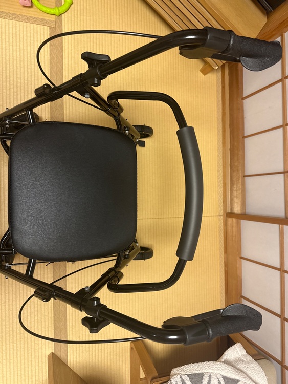 シルバーカーny595（介護用品）の商品画像 - 査定依頼日：2025年7月23日 - 最高査定価格：1,000円