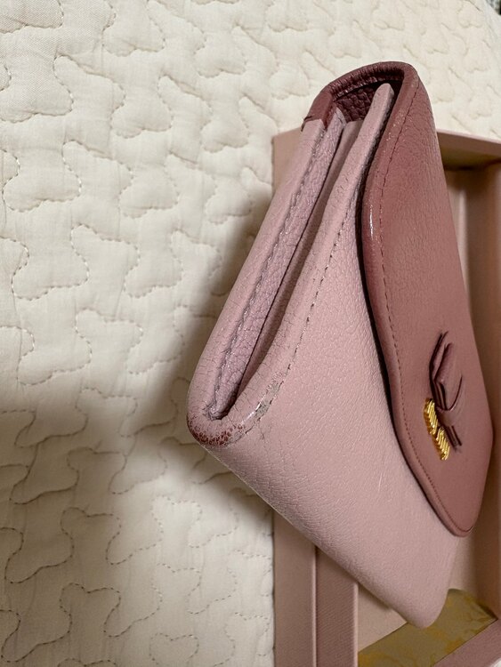 ミュウミュウ  （ブランドバッグ）の商品画像 - 査定依頼日：2025年3月24日 - 最高査定価格：5,000円