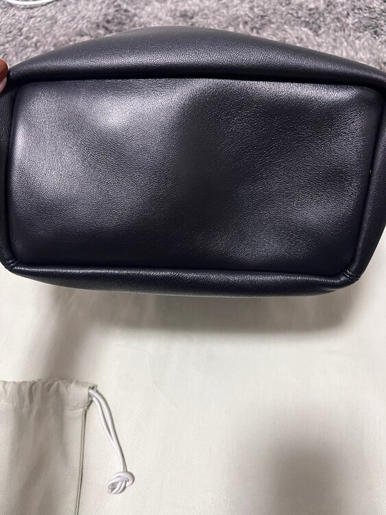 ロエベ  スクイーズ（ブランドバッグ）の商品画像 - 査定依頼日：2024年12月30日 - 最高査定価格：310,000円