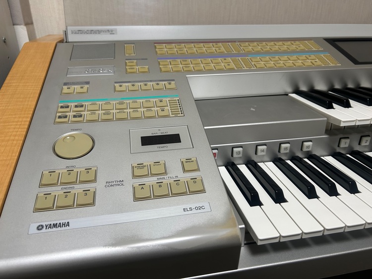 ELS-02C（バイタライズ）（ピアノ・楽器・PA機材）の商品画像 - 査定依頼日：2025年11月12日 - 最高査定価格：30,000円