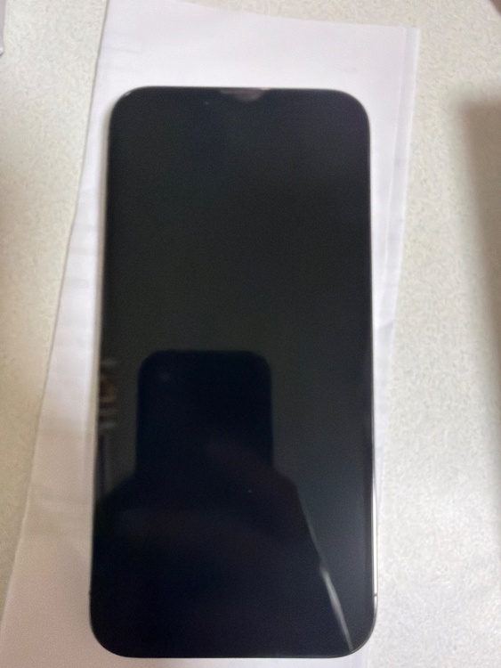 iPhone 13 Pro Max 256GB SIMフリー（スマホ）の商品画像 - 査定依頼日：2026年4月15日 - 最高査定価格：61,000円
